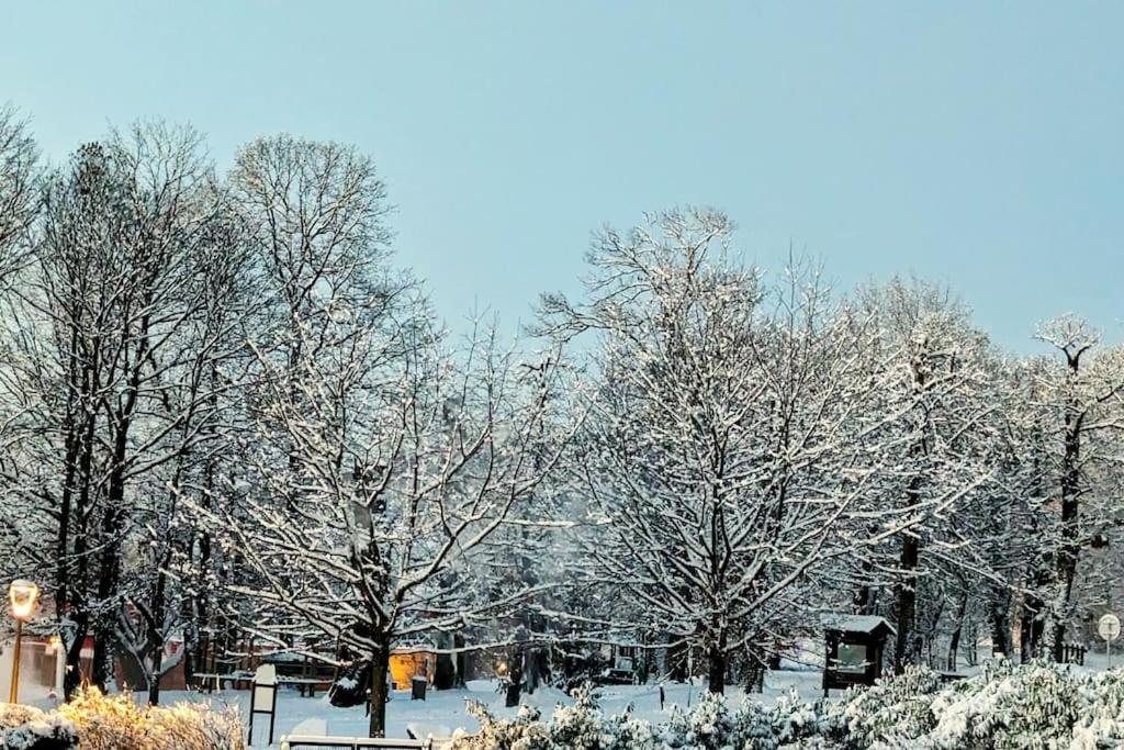 Appartement Chez Mar'Tine Niederbronn-les-Bains Exteriör bild