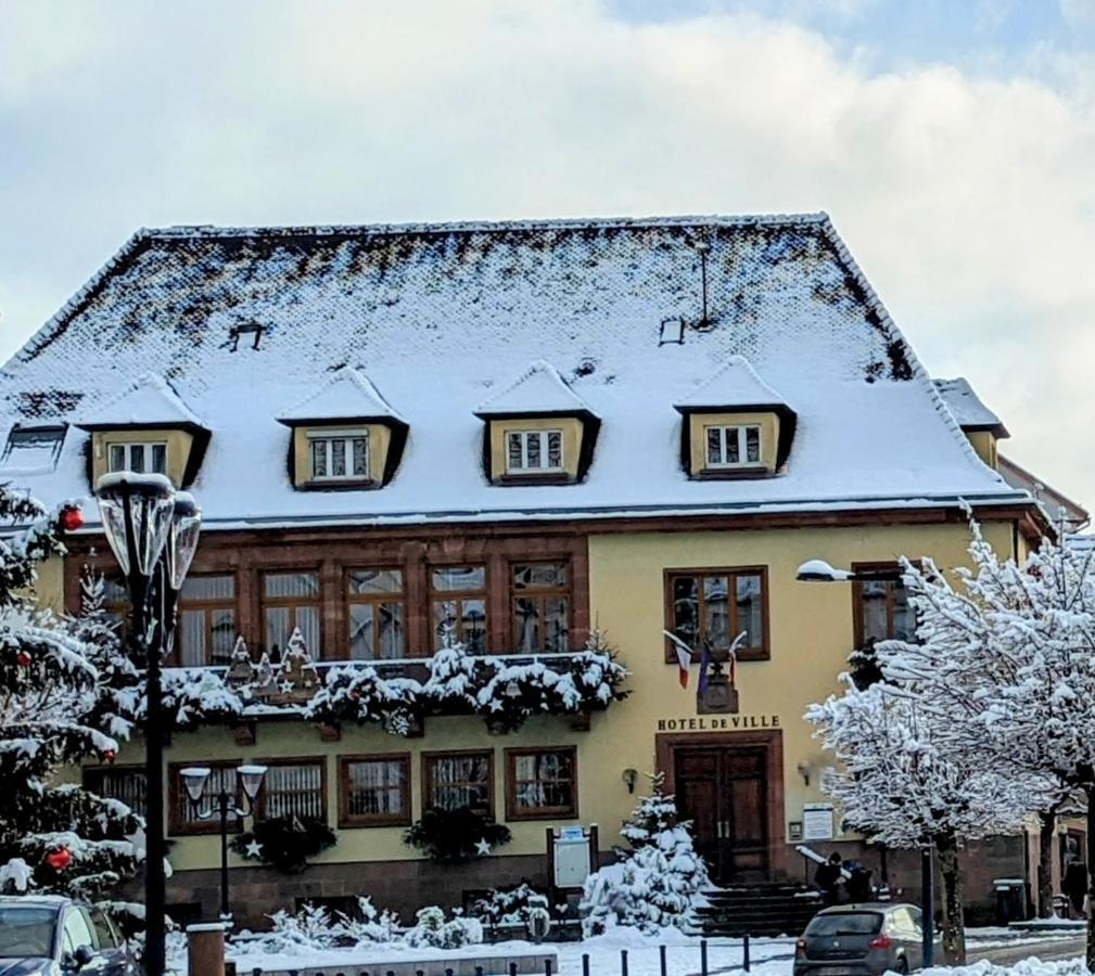 Appartement Chez Mar'Tine Niederbronn-les-Bains Exteriör bild