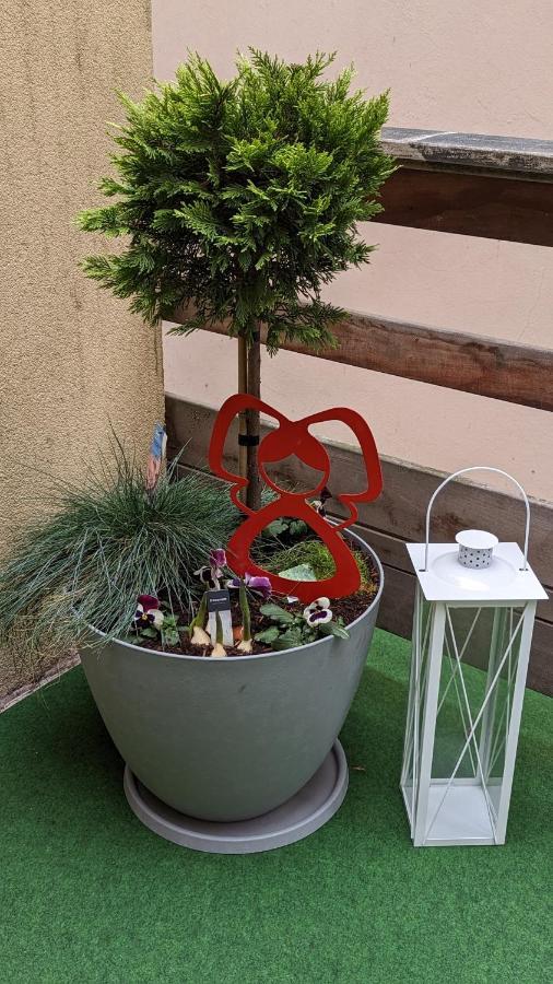 Appartement Chez Mar'Tine Niederbronn-les-Bains Exteriör bild